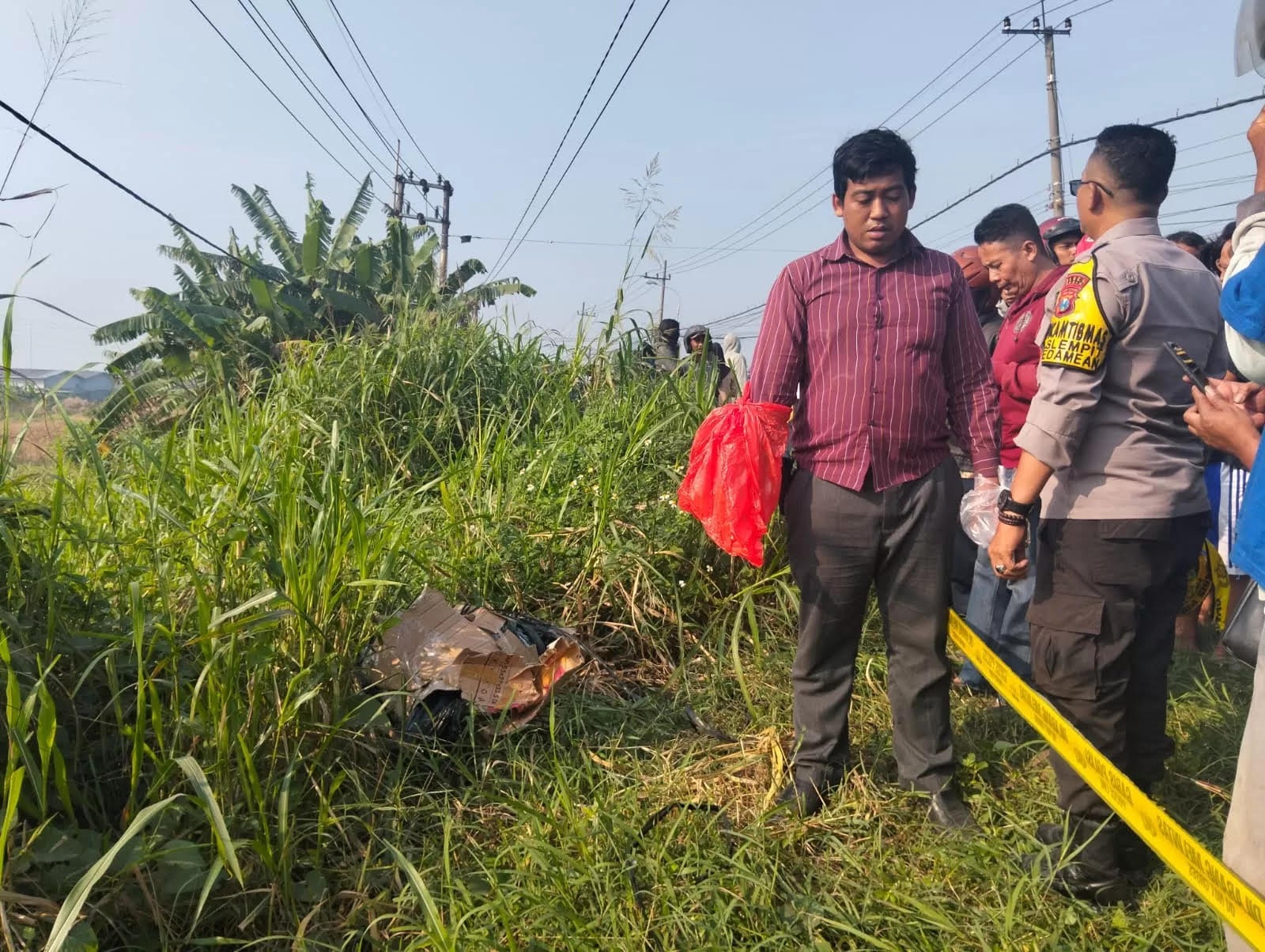 OLAH TKP : Tim Indentifikasi Polres Gresik  melakukan olah TKP penemuan mayat dalam kardus di sekitar semak.