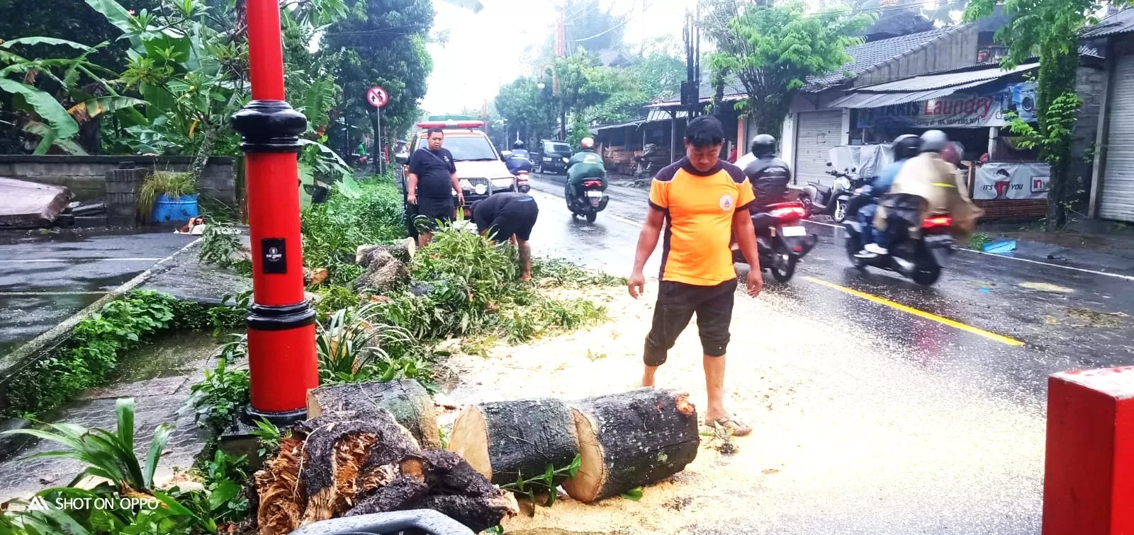 Petugas BPBD Gianyar membersihkan puing pohon tumbang di Buruan, Gianyar, Kamis (31/7/2025).