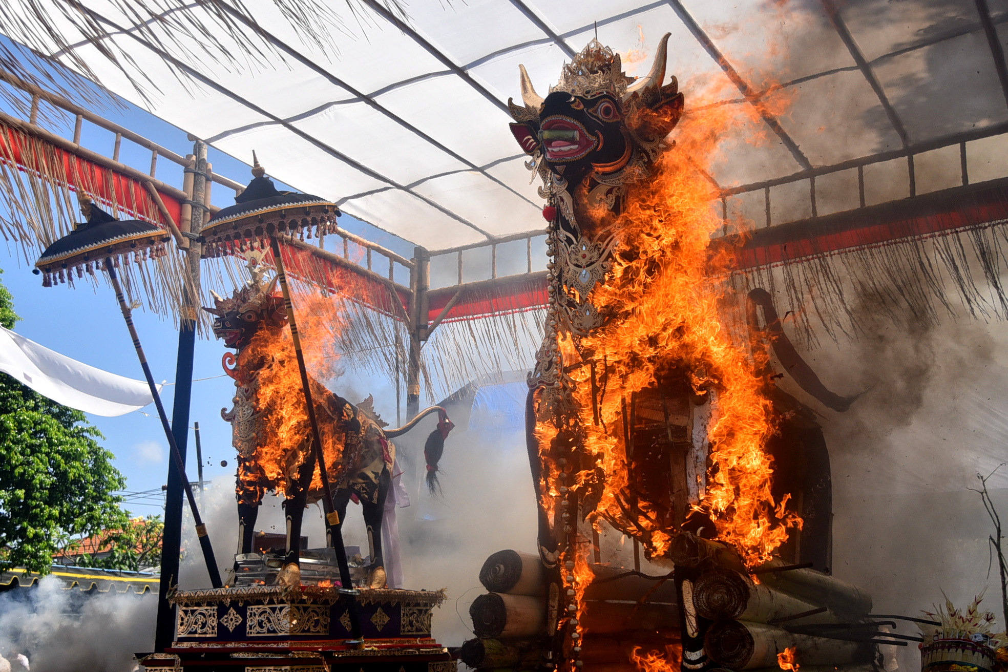 Dua lembu dalam Pelebon Jero Samiarsa ibunda Wali Kota Denpasar I Gusti Ngurah Jaya Negara, dan pelebon sang kakak I Gusti Ayu Mirah Rosiati. (Bali Express/Agung Bayu).