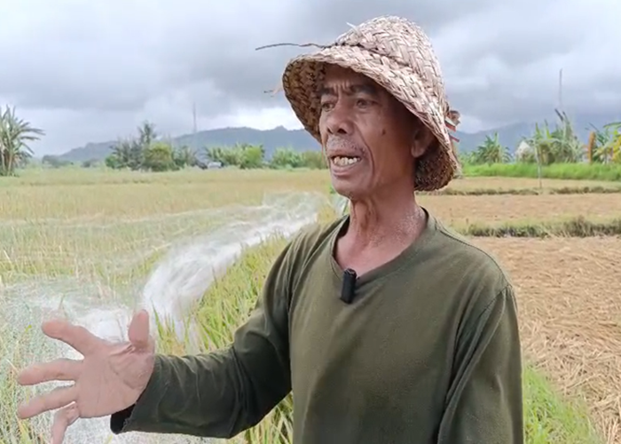 Salah seorang petani Ketut Sukarta.