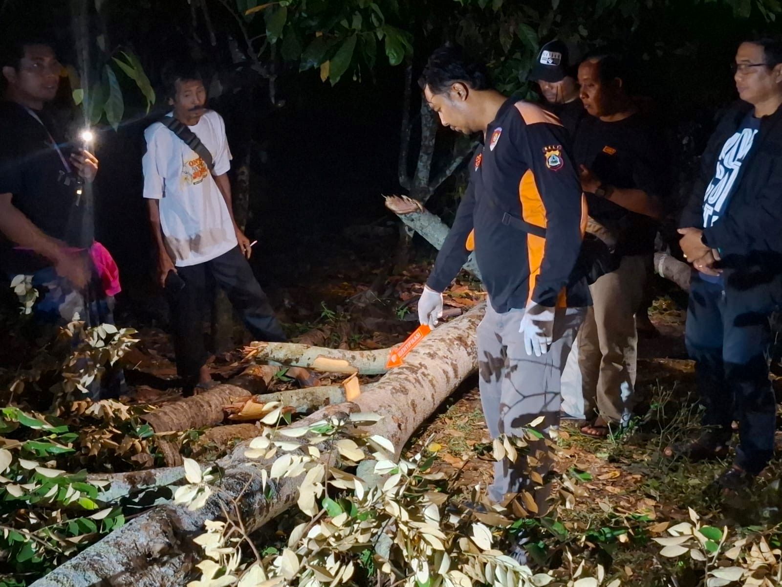 Petugas melakukan olah TKP korban tewas tertimpa ranting kayu di Banjar Moding Kaja, Desa Candikusuma, Kecamatan Melaya, Kabupaten Jembrana pada Rabu (6/8/2025).