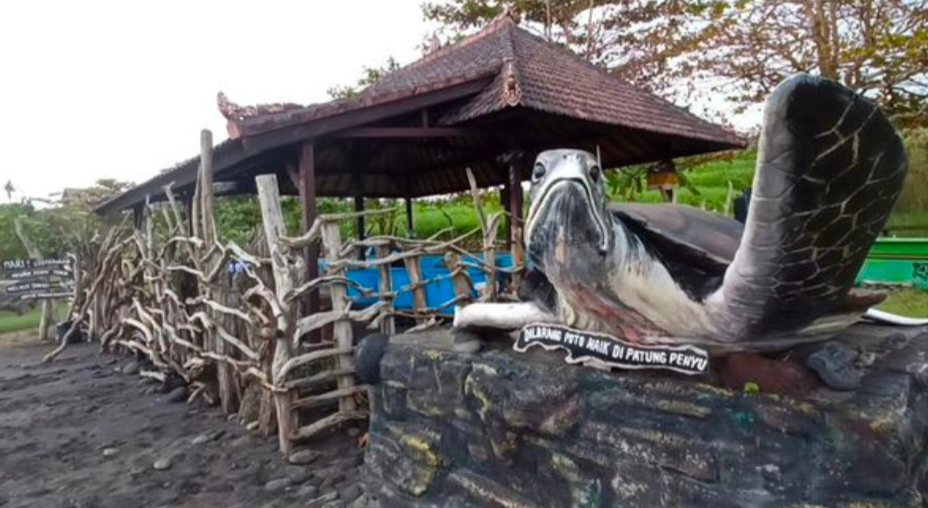 tempat konservasi penyu serta areal pengeraman telurnya di Pantai Yeh Gangga, desa Sudimara Kecamatan Tabanan.