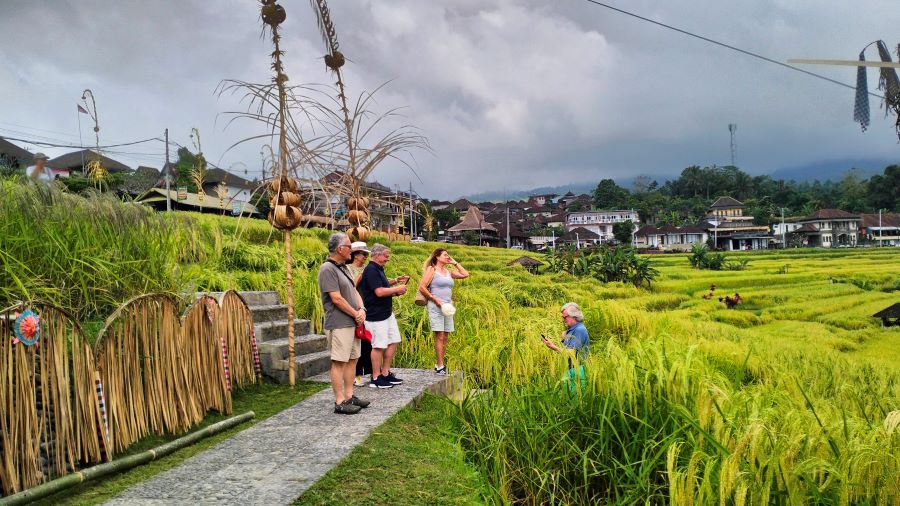 Kawasan Subak Jatiluwih, Tabanan, marak bangunan baru.