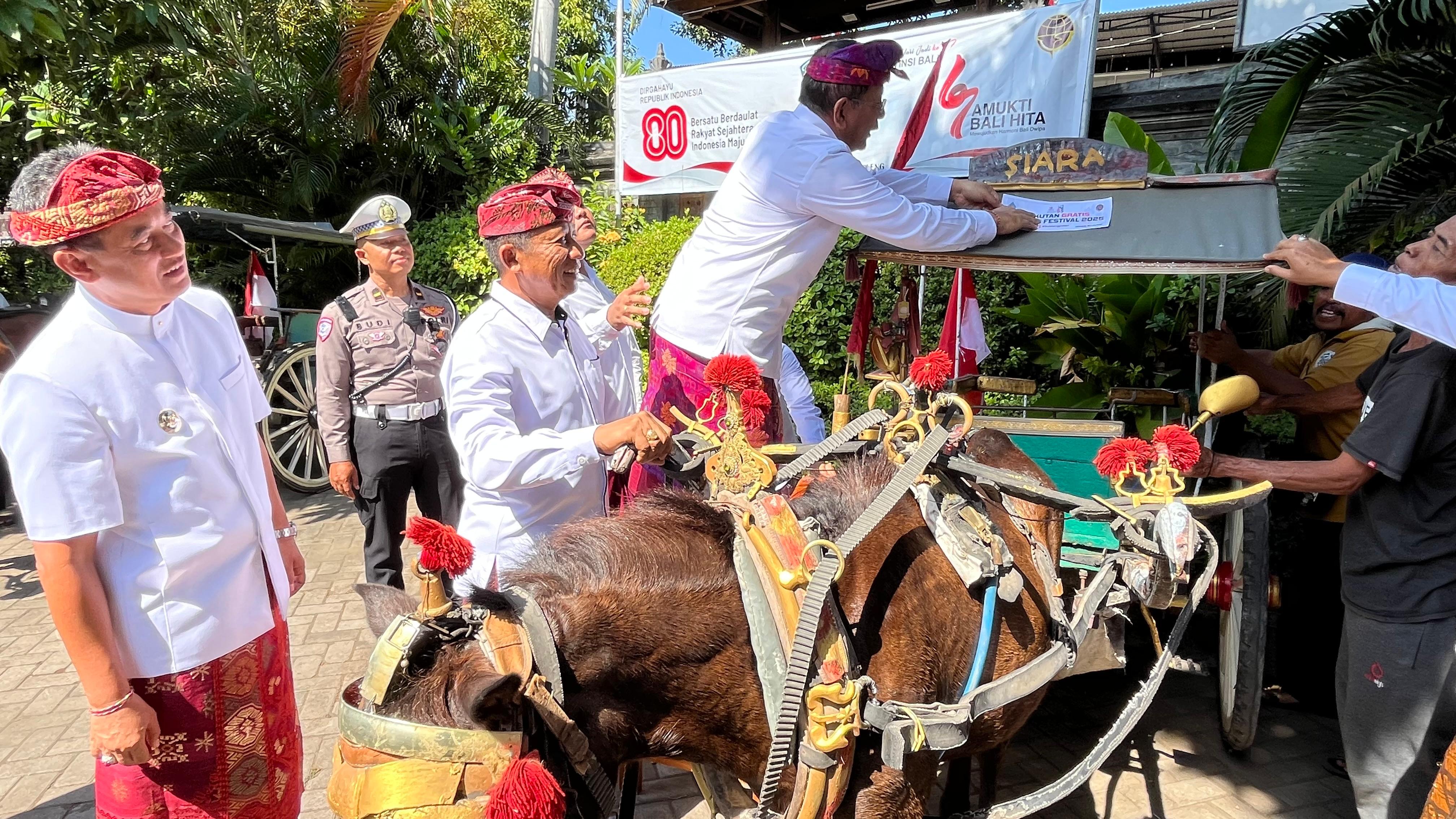Bupati Buleleng, dr. Sutjidra saat menempelkan stiker pada Dokar jelang Bulfest 2025
