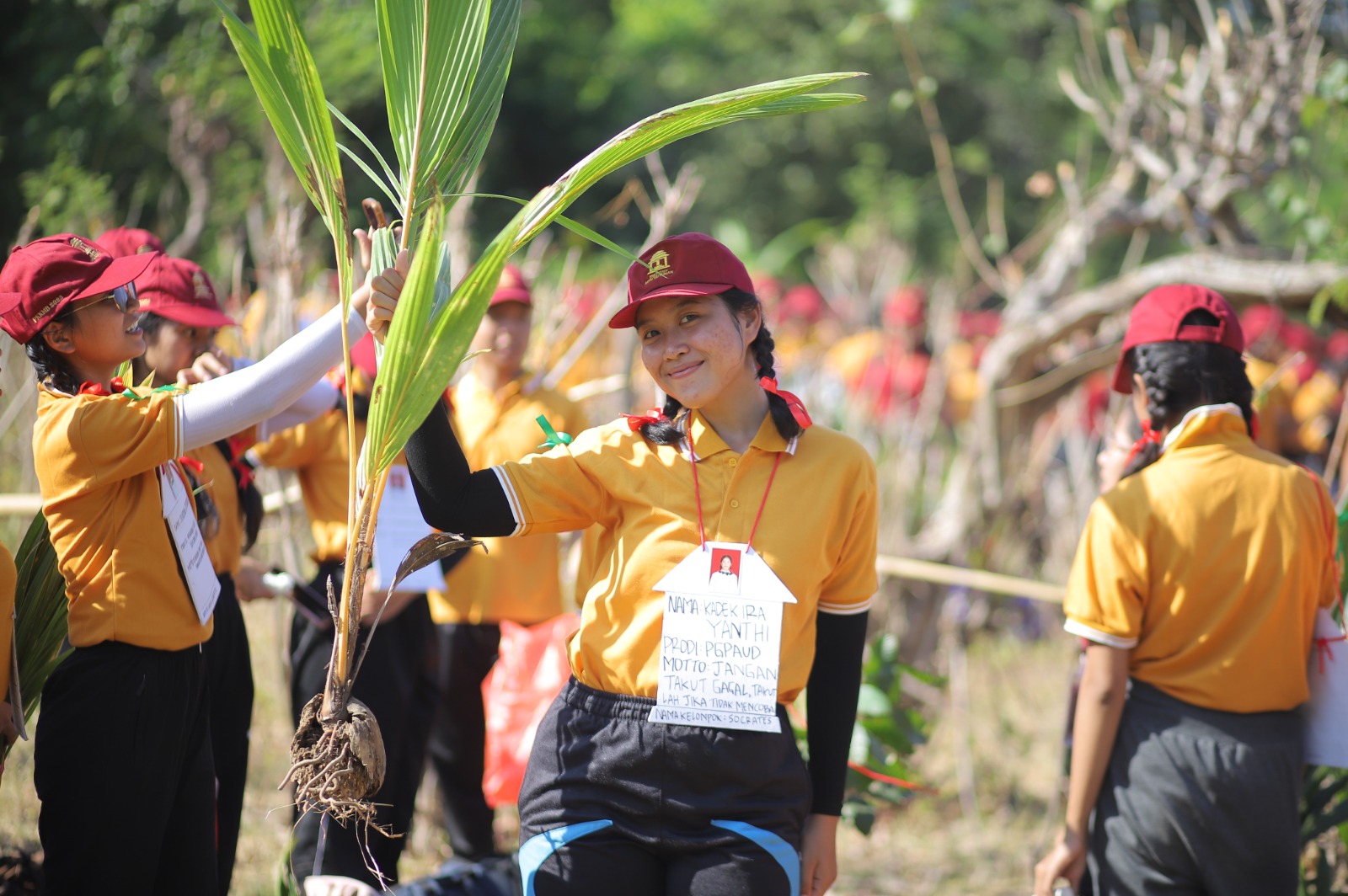 Mahasiswa baru IMK saat mempersiapkan bibit Pohon Kelapa untuk ditanam di areal lahan Kampus IMK di Patas