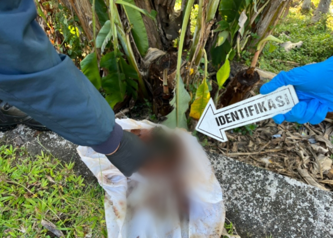 OLAH TKP : Pihak kepolisian dari Polsek Selemadeg Timur melakukan olah TKP di lokasi temuan janin di areal Setra Bantas.