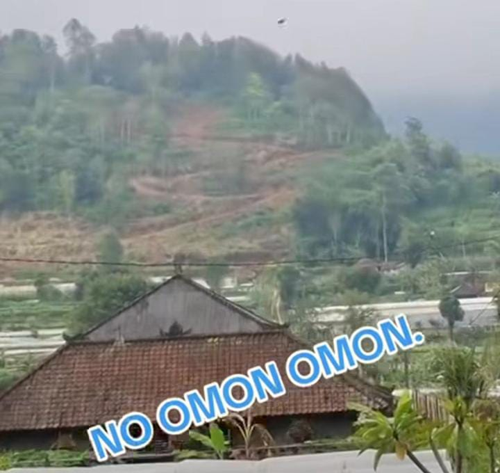 Lewat sebuah video warga protes pembabatan bukit di Bedugul