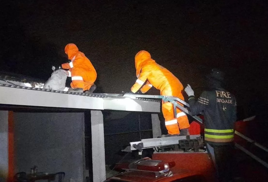 Petugas Damkar mengevakuasi sarang tawon vespa di jalan Indunsuri, Gang H Slamet, Kelurahan Tanjunguban Selatan, Kecamatan Bintan Utara, Kamis (18/9/2025) malam.