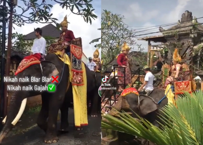 TAK BIASA : Tangkapan layar video yang memperlihatkan pasangan pengantin naik gajah.