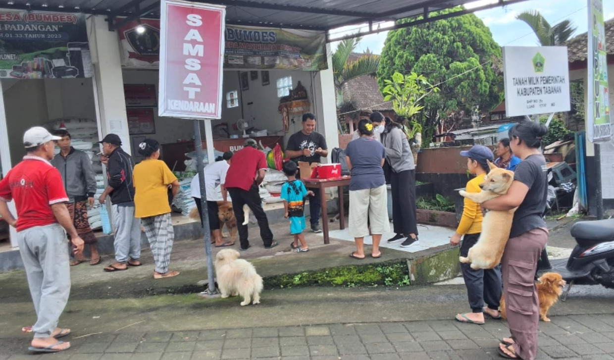 493 ekor hewan penular rabies (HPR) seperti anjing dan kucing yang ada di Desa Pujungan, Kecamatan Pupuan di vaksin.
