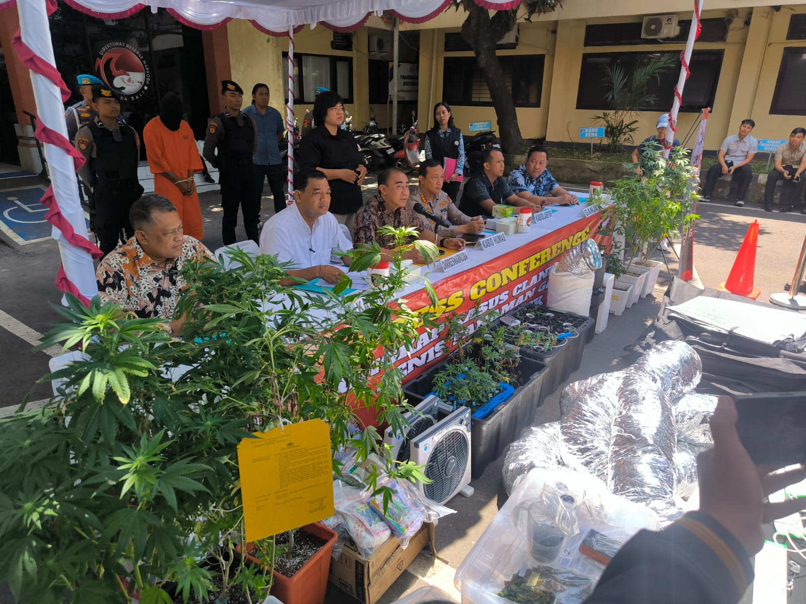 Pengungkapan kasus kebun ganja di Mapolda Bali dengan tersangka pasutri warga negara asing. (Bali Express/Agung Bayu)
