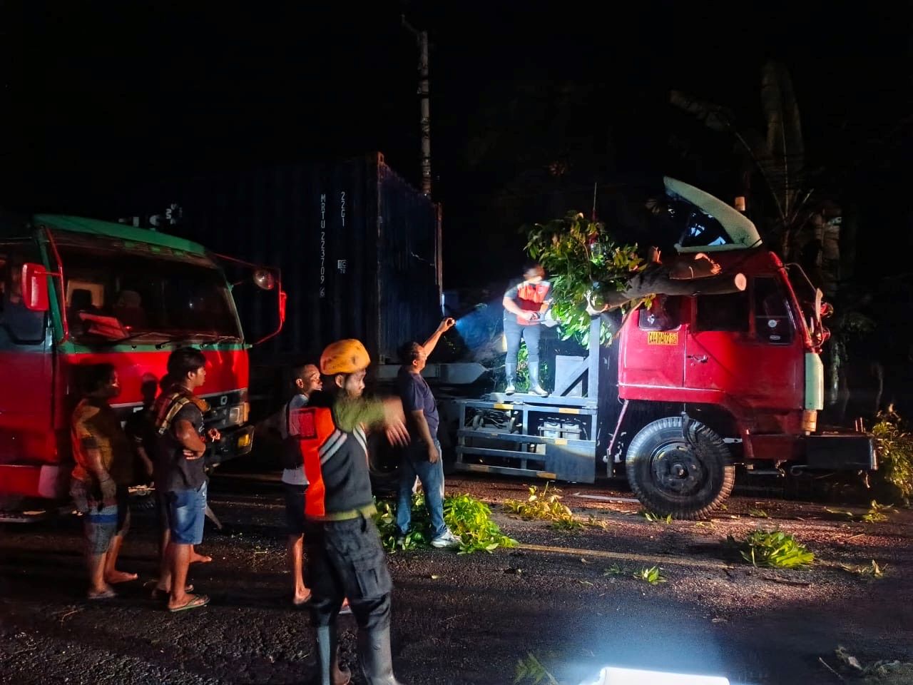 Penanganan pohon tumbang di Jalan Raya Denpasar-Gilimanuk Kelurahan Tegal Cangkring, Kecamatan Mendoyo, Kabupaten Jembrana, Sabtu (4/10/2025).
