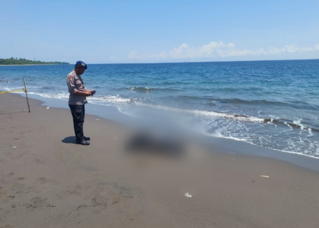 EVAKUASI : Petugas melakuakn evakuasi mayat laki-laki yang terdampar di pantai Lingkungan Penginuman, Kelurahan Gilimanuk, Kecamatan Melaya, Kabupaten Jembrana, Senin (6/10).