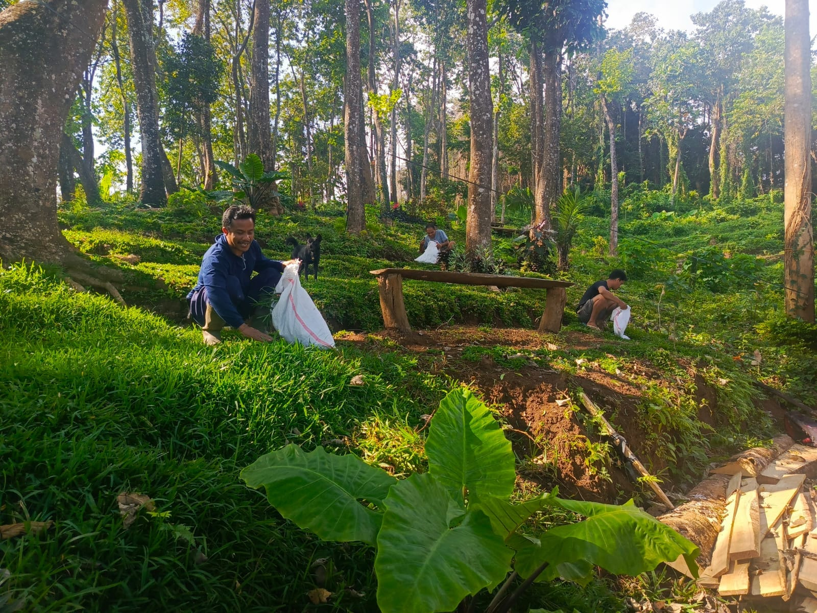 Kondisi hutan di Ambengan yang viral