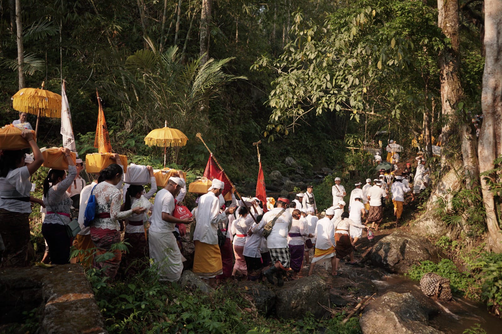 Kaarya alilitan