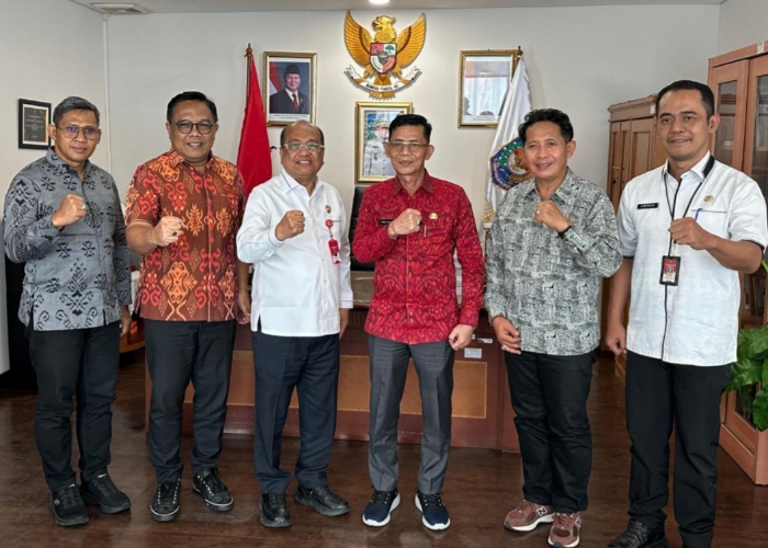 Bupati Klungkung I Made Satria melaksanakan audiensi ke Direktorat Jenderal Bina Keuangan Daerah, Kementerian Dalam Negeri (Kemendagri) di Jakarta.
