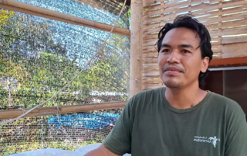 Ketut Agus Winaya, pembudidaya spirulina di Desa Les