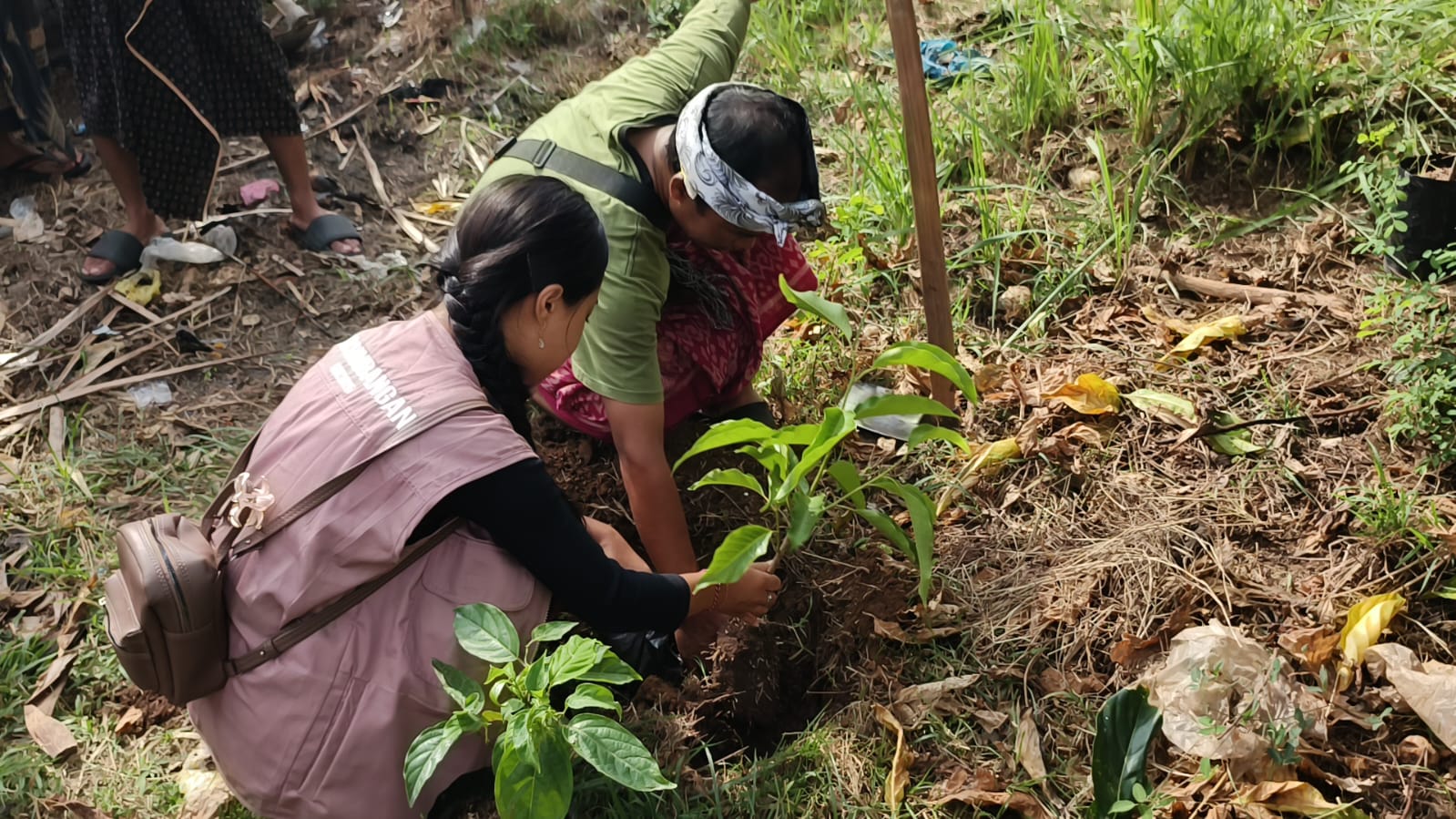 Mahasiswa KKN Institut Mpu Kuturan saat menanam pohon