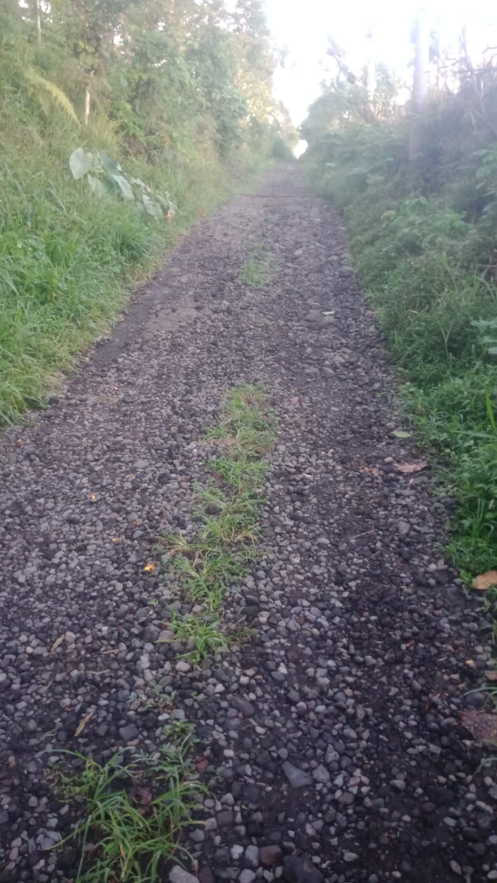 Kerusakan jalan di Subak Abian Triguna Karya, Desa Catur, Kecamatan Kintamani, semakin parah akibat tak dapat perbaikan.