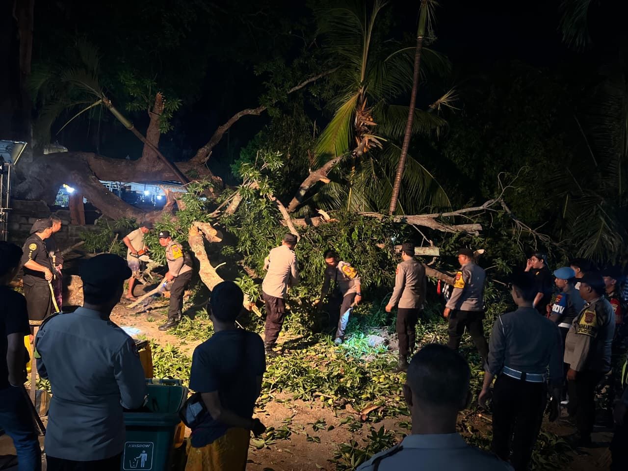 Pohon gepah berukuran besar tumbang di depan Pura Segara Penataran Ped, Desa Ped, Kecamatan Nusa Penida, Klungkung, Rabu (5/11/2025) malam.