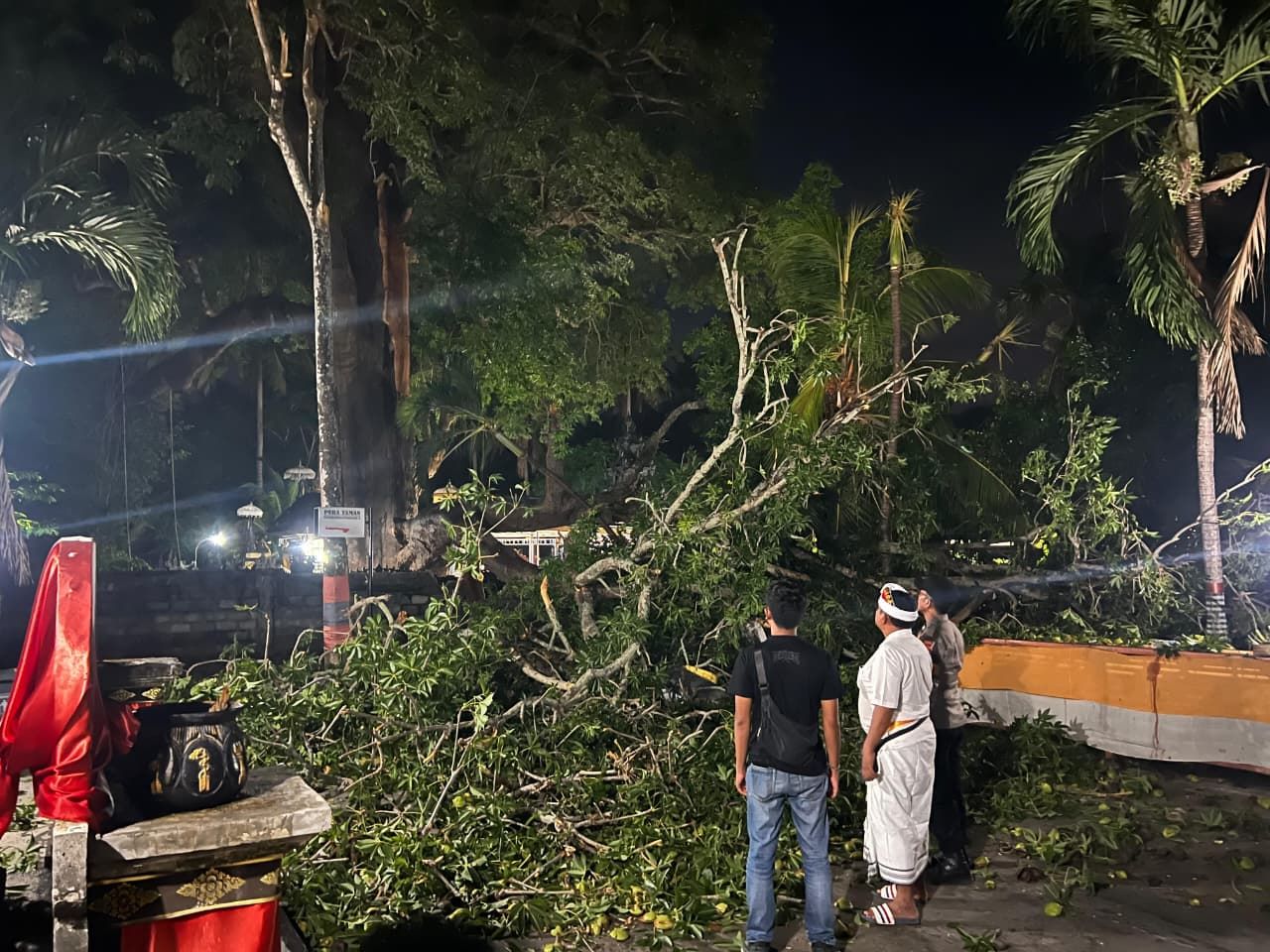 Pohon gepah berukuran besar tumbang di depan Pura Segara Penataran Ped, Desa Ped, Nusa Penida, Klungkung, Rabu (5/11/2025) malam.