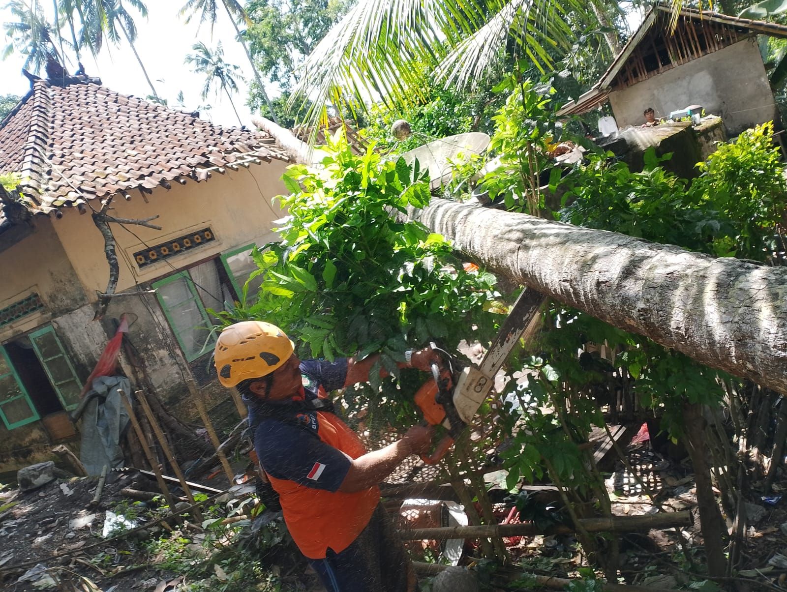 Pohon tumbang menimpa rumah milik I Made Badra di Banjar Dinas Yeh Bunga, Desa Jungutan, Bebandem, Kamis (6/11/2025).