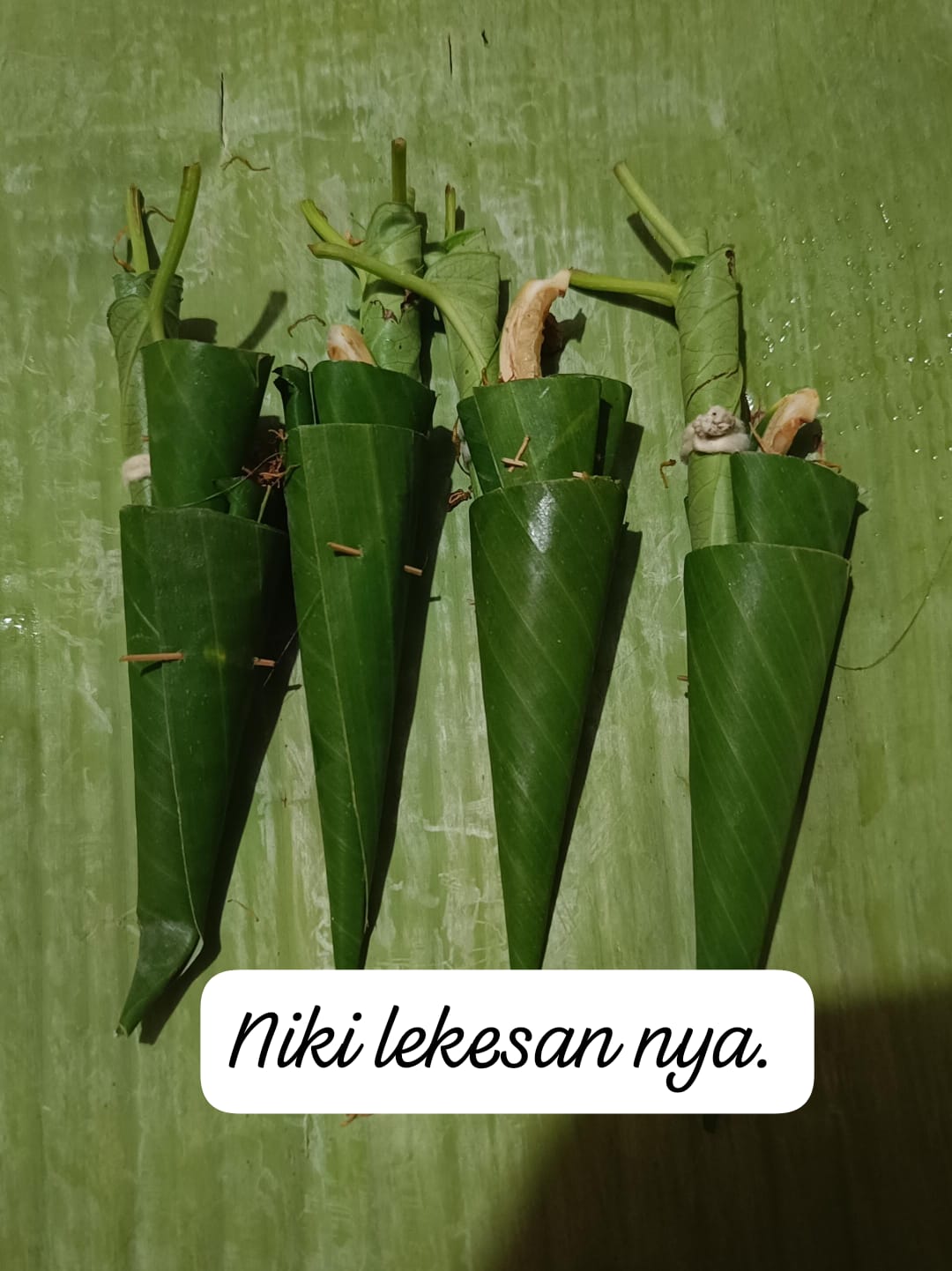 Lekesan yang digunakan sebagai sarana pemilihan jro mangku di Pura Desa, Desa Adat Buleleng.