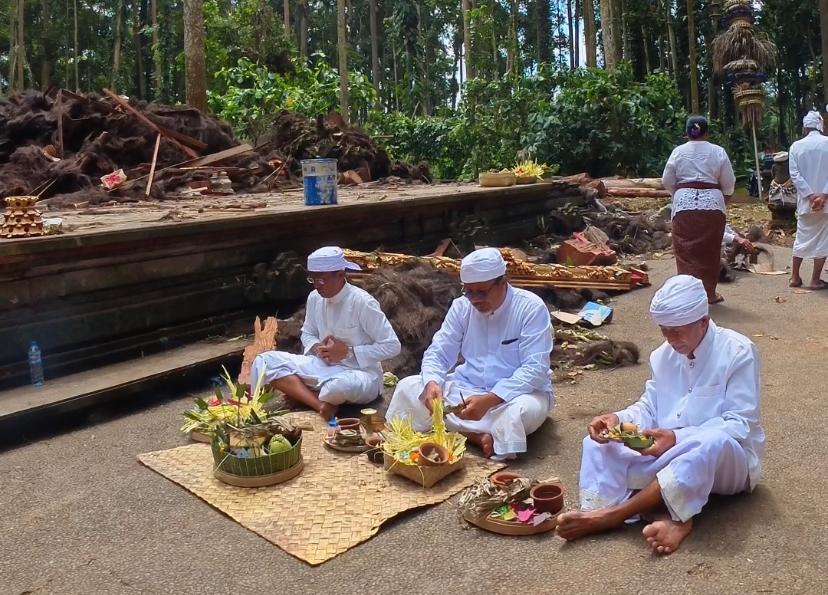 Pelaksanaan upacara mecaru durmanggala di Pura Bukti Sari di area DTW Alas Pala Sangeh, Kecamaran Abiansemal, Jumat (5/12).