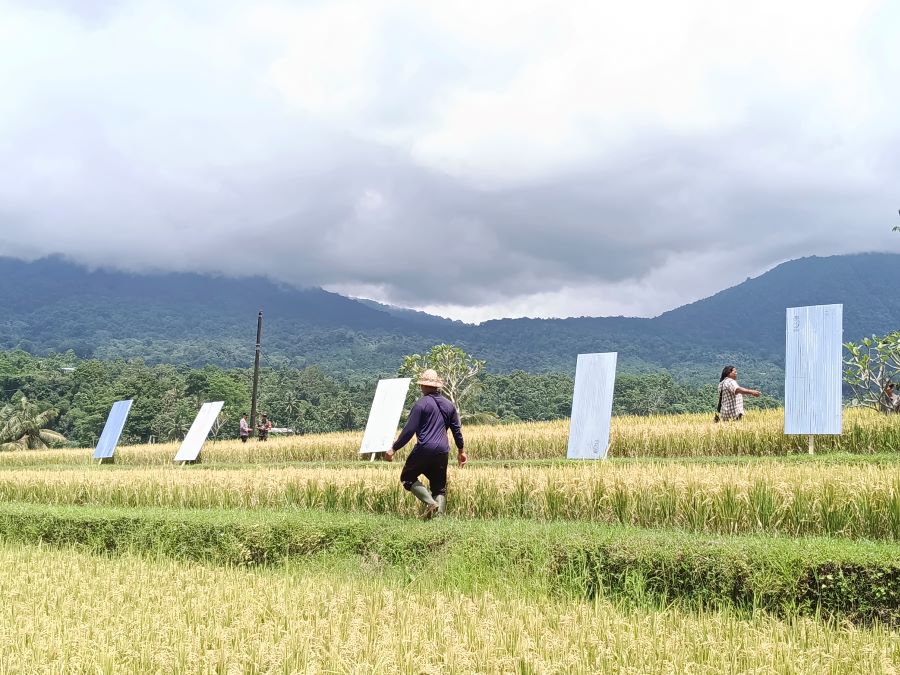 Pemasangan seng oleh petani di DTW Jatiluwih sebagai bentuk protes dan berharap keadilan setelah belasan akomodasi pariwisata ditutup oleh pemerintah, Kamis (5/12/2025).&nbsp;