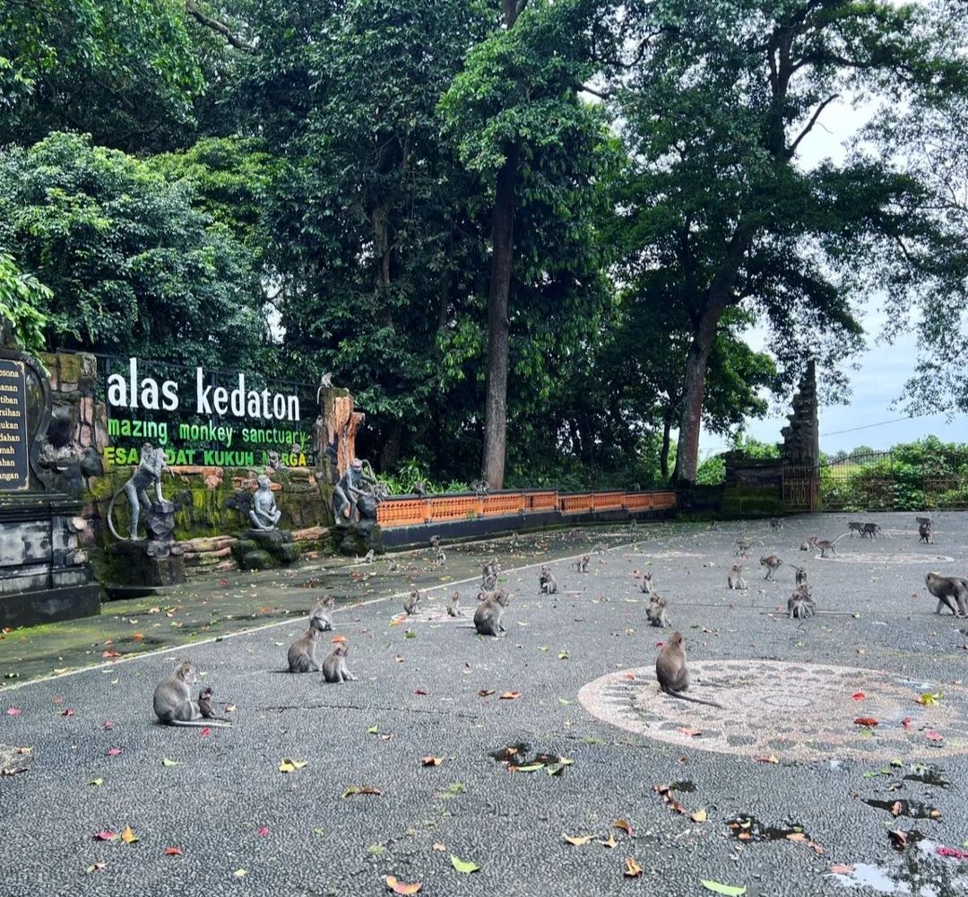 DTW Alas Kedaton, Tabanan.