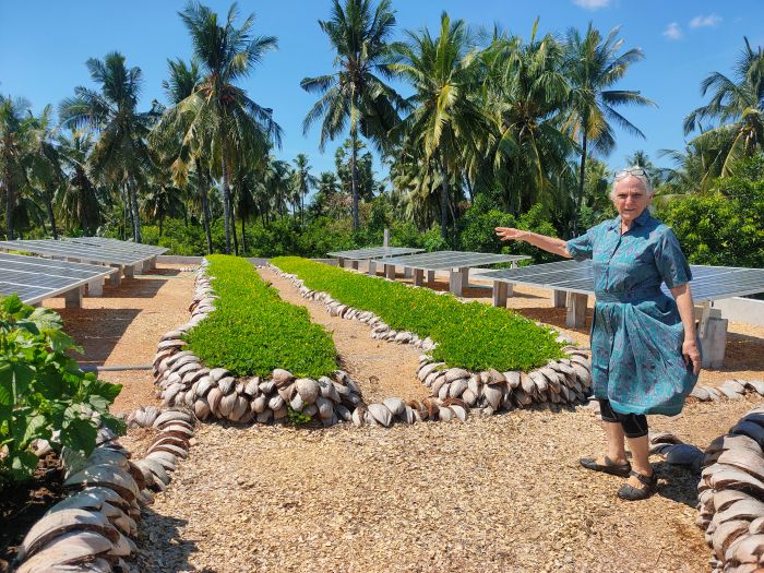 Rucina Balinger, menunjukkan bidang panel surya yang terpasang di atap kampus Amisewaka di Desa Les, Buleleng.