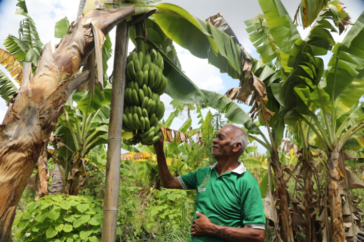 Reforma Agraria Ubah Pola Pikir Warga Desa Baumata di Kabupaten Kupang