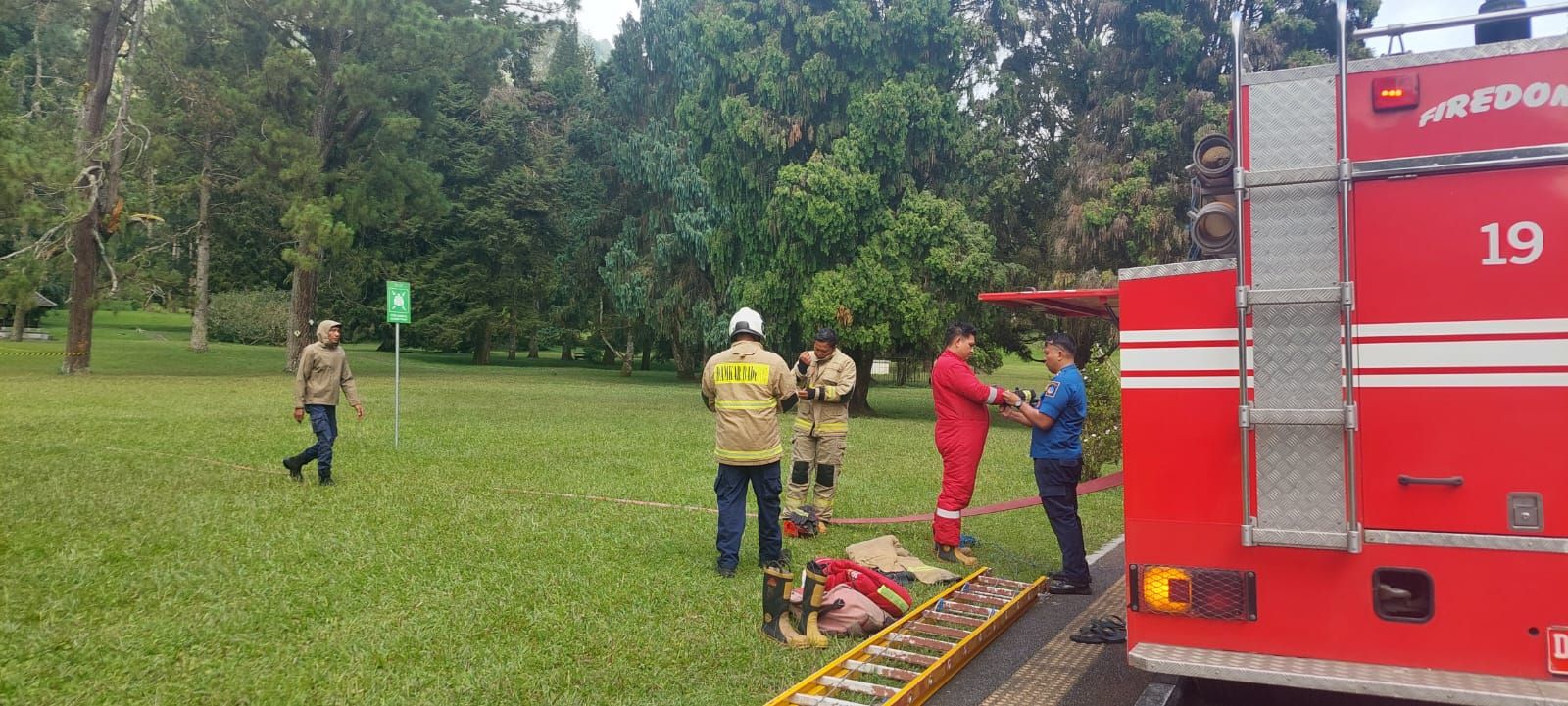 Proses evakuasi sarang lebah dendeng ai di Kebun Raya, Bedugul setelah serang puluhan wisatawan.