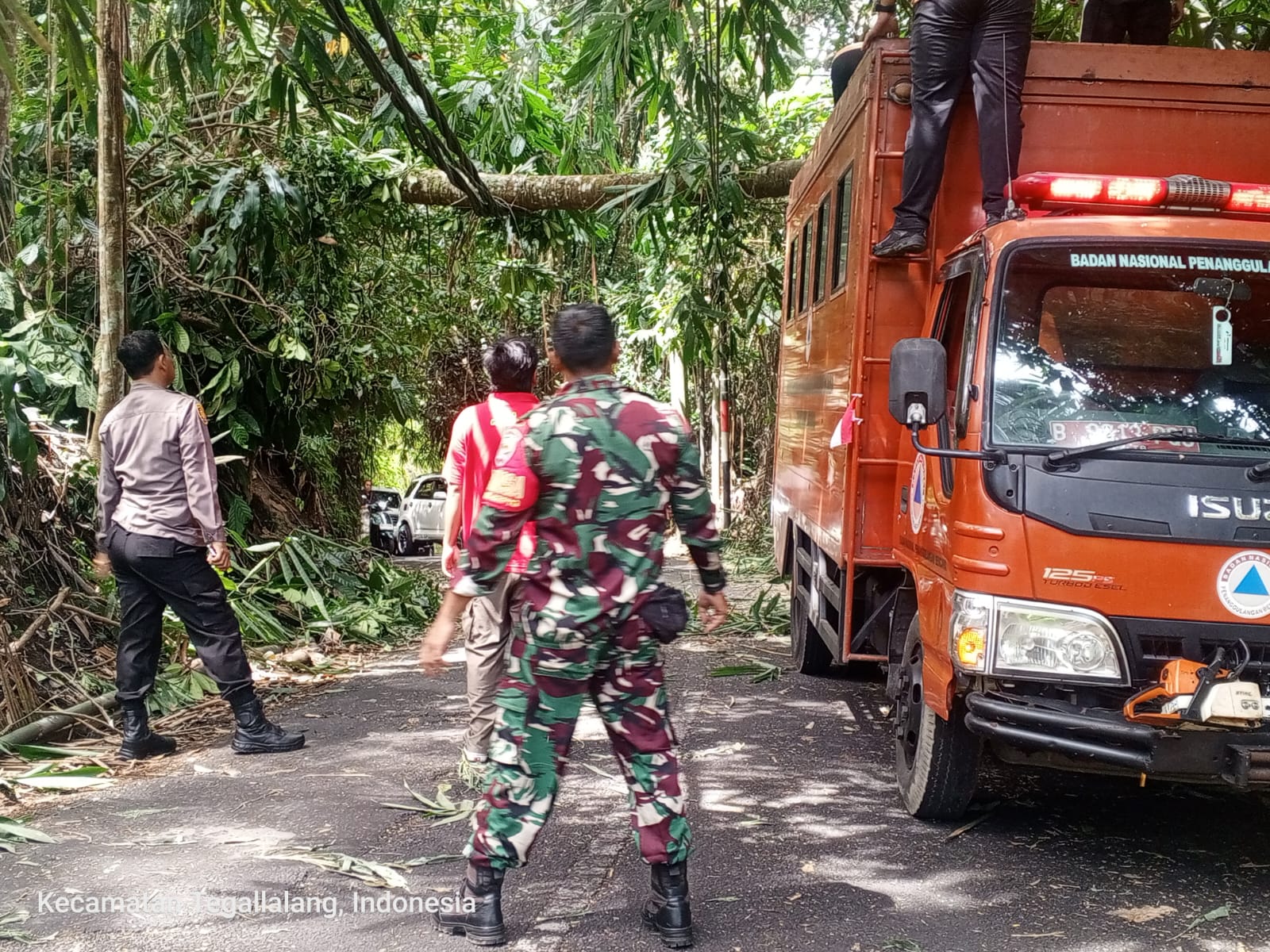 PENANGANAN : Penanganan pohon tumbang di Jalan Raya Sema, Payangan oleh petugas gabungan.