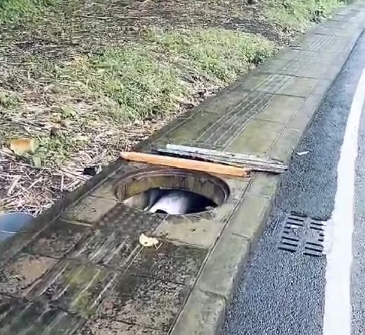Kondisi lubang trotoar yang terbuka di Jalan Raya Sading, Kecamatan Mengwi setelah tutup manhole hilang.