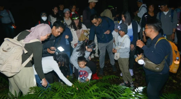 Wisatawan antusias mengikuti Eksplorasi biodiversitas Kunang-Kunang di Kebun Raya Bedugul.