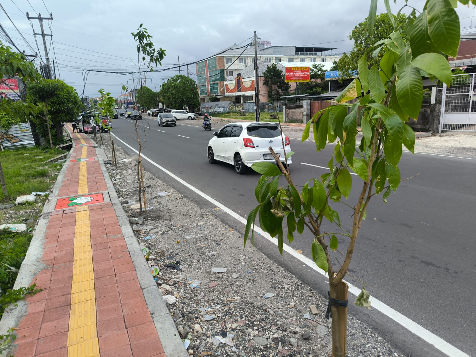 Salah satu ruas Jalan Teuku Umar Barat, Denpasar yang telah ditanami pohon baru.