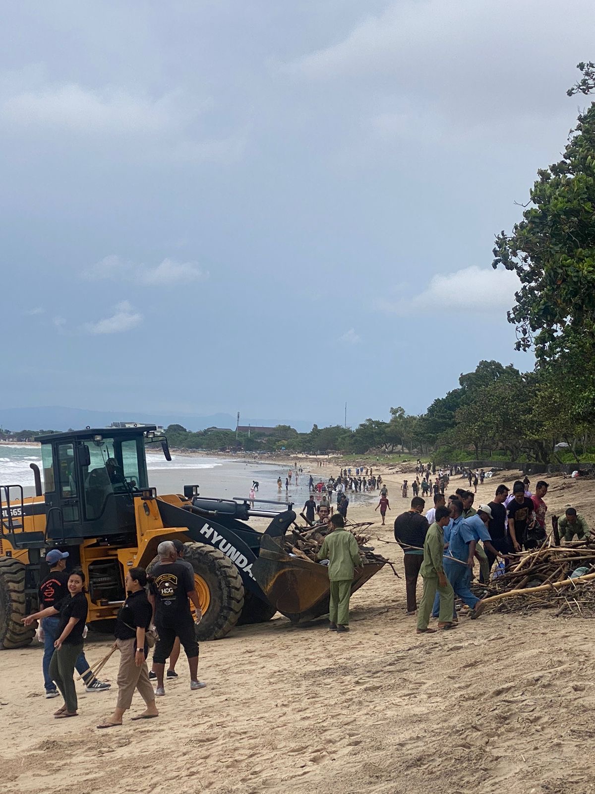 Aksi bersih-bersih sampah kiriman di sepanjang Pantai Muaya, Jimbaran, Rabu (21/1).