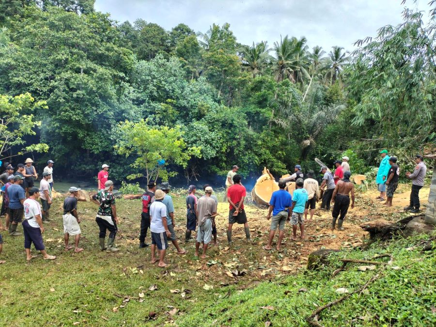 Proses penanganan pohon pule tumbang di areal Setra Adat Kebon, Desa Bajera Utara, Kecamatan Selemadeg Kabupaten Tabanan, Selasa (20/1/2026).