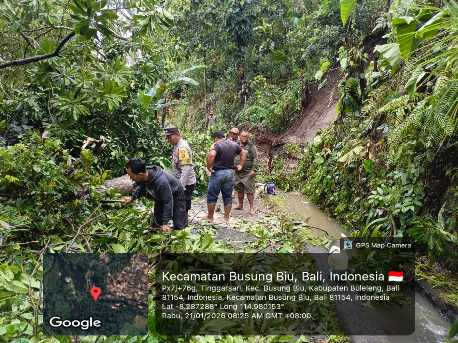 Penanganan akses jalan pasca diterjang longsor dan pohon tumbang di Busungbiu, Buleleng.