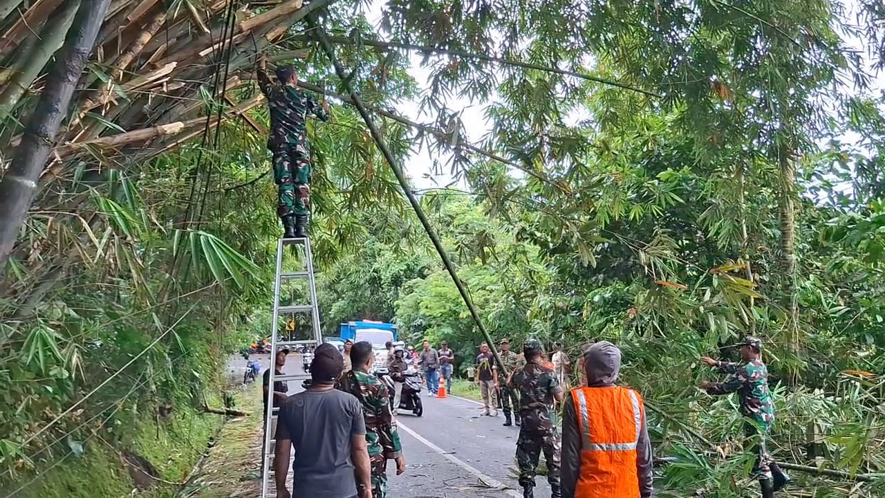 Pemerintah Kecamatan Tembuku bersama TNI dan Polri secara bersama-sama memangkas pohon bambung untuk mengantisipasi mengganggu arus lalu lintas, Kamis (22/1/2026).