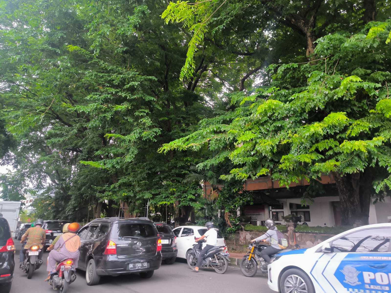 Salah satu ruas jalan di Kota Denpasar dengan pohon perindang yang memiliki asuransi.