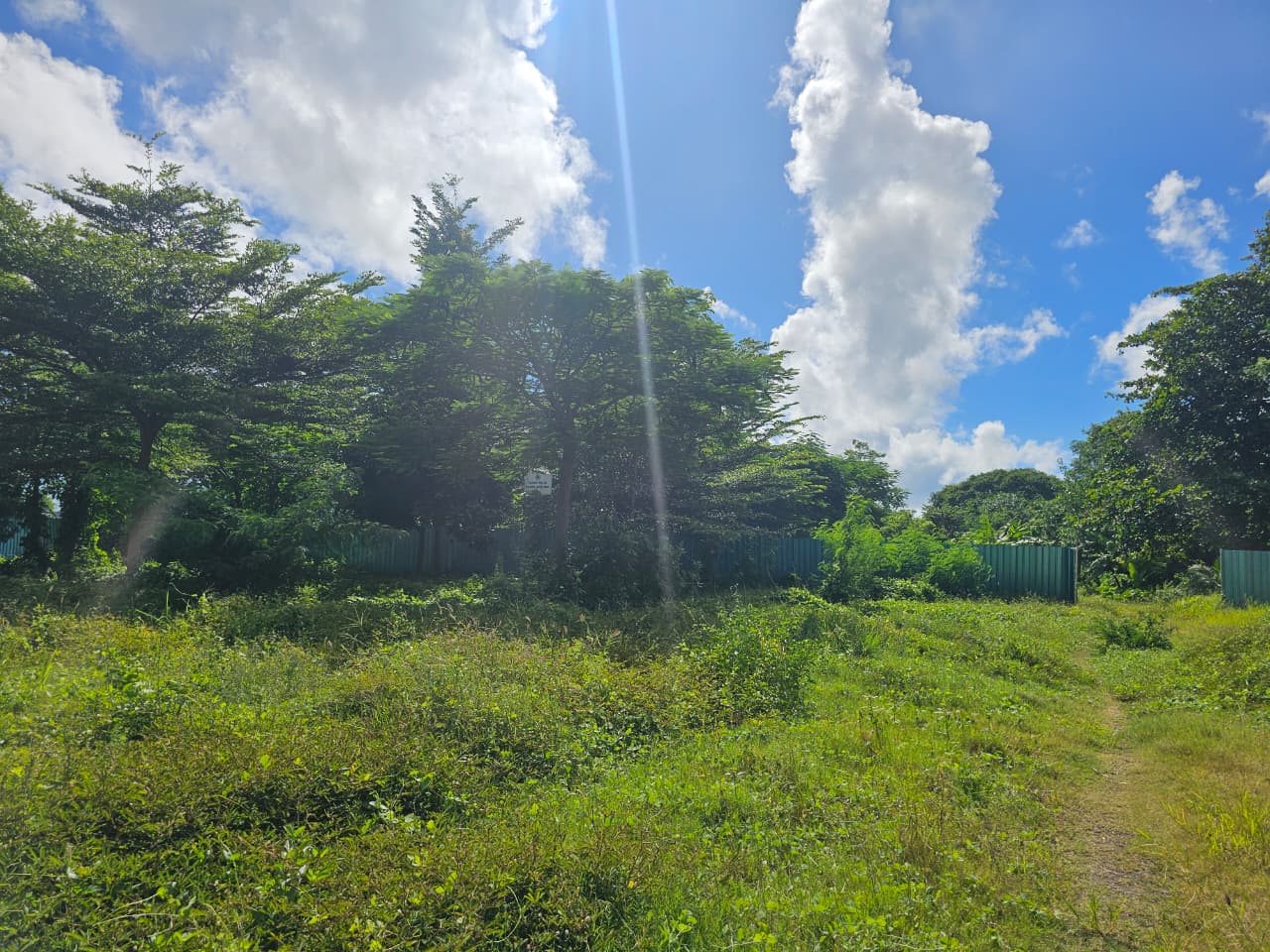 SEMAK: Lokasi Proyek Bali Urban Subway yang tampak dipenuhi semak belukar