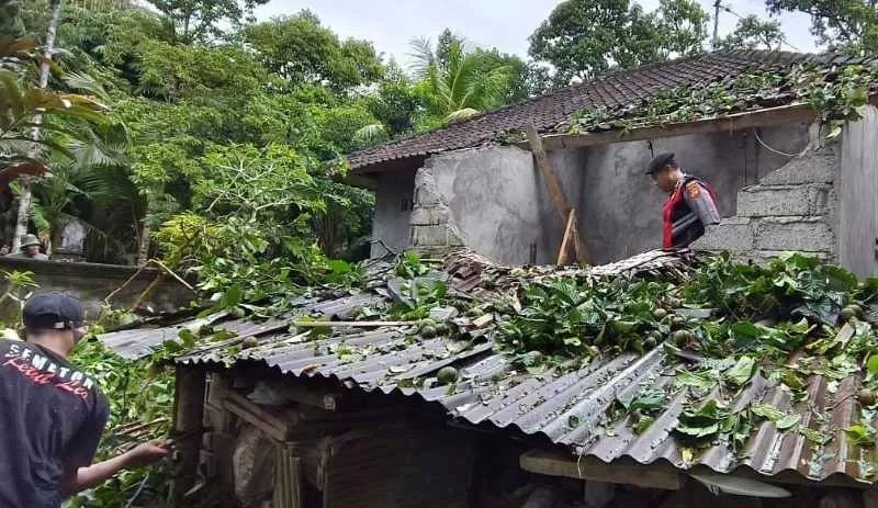 Pohon tumbang di Kabupaten Klungkung usai diguyur hujan deras dan angin kencang, Sabtu (14/2/2026).