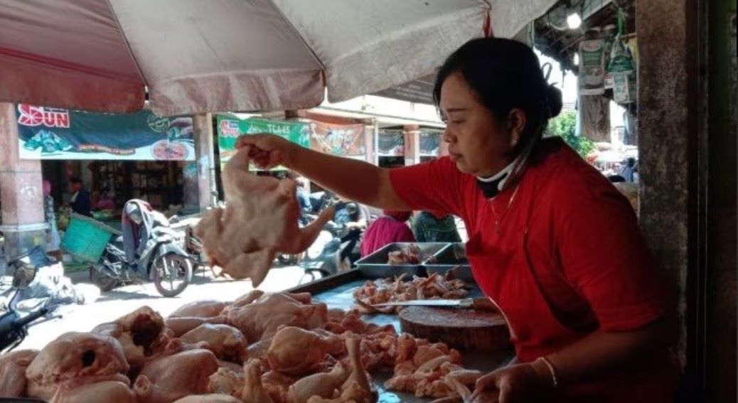 Harga daging ayam tembus Rp 43 ribu per kilogram, stok di pasar tradisional di Tabanan tetap aman.