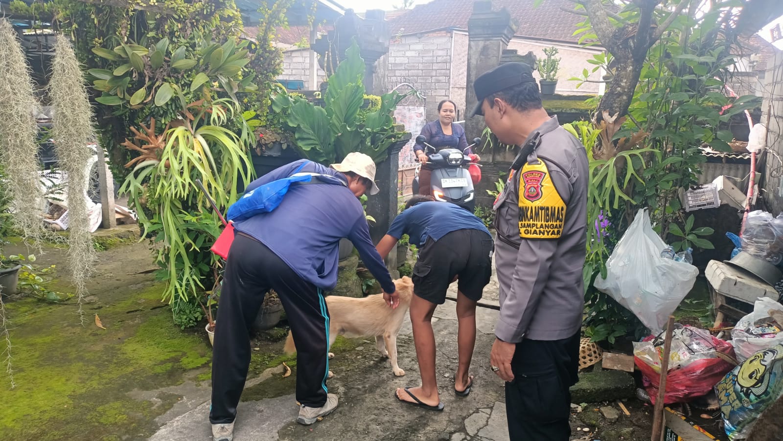 VAKSINASI : Pelaksanaan vaksinasi rabies di Kelurahan Samplangan, Gianyar.