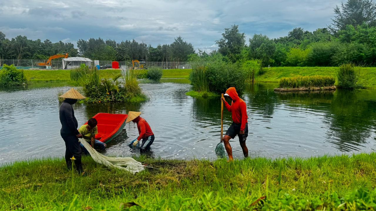 GANDENG: Kawasan Ekonomi Khusus (KEK) Kura Kura Bali menggandeng Komunitas Nukari Desa Serangan untuk mengoptimalkan pemanfaatan lahan darat dan kolam di dalam kawasan