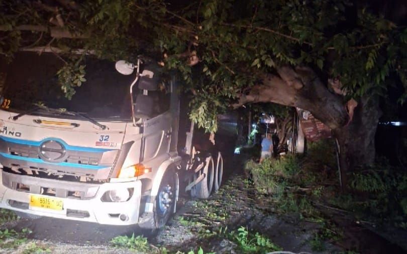 Truk tertimpa pohon tumbang di Giri Emas, Sawan, Buleleng, Kamis (12/3/2026).