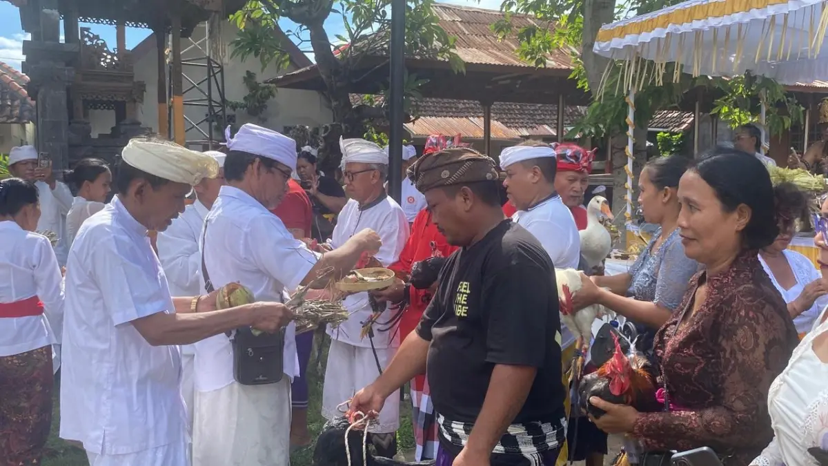 Ritual Mapepada di Catus Pata Kota Singaraja jelang Hari Raya Nyepi pada Selasa (17/3) (I Putu Mardika/Bali Express)