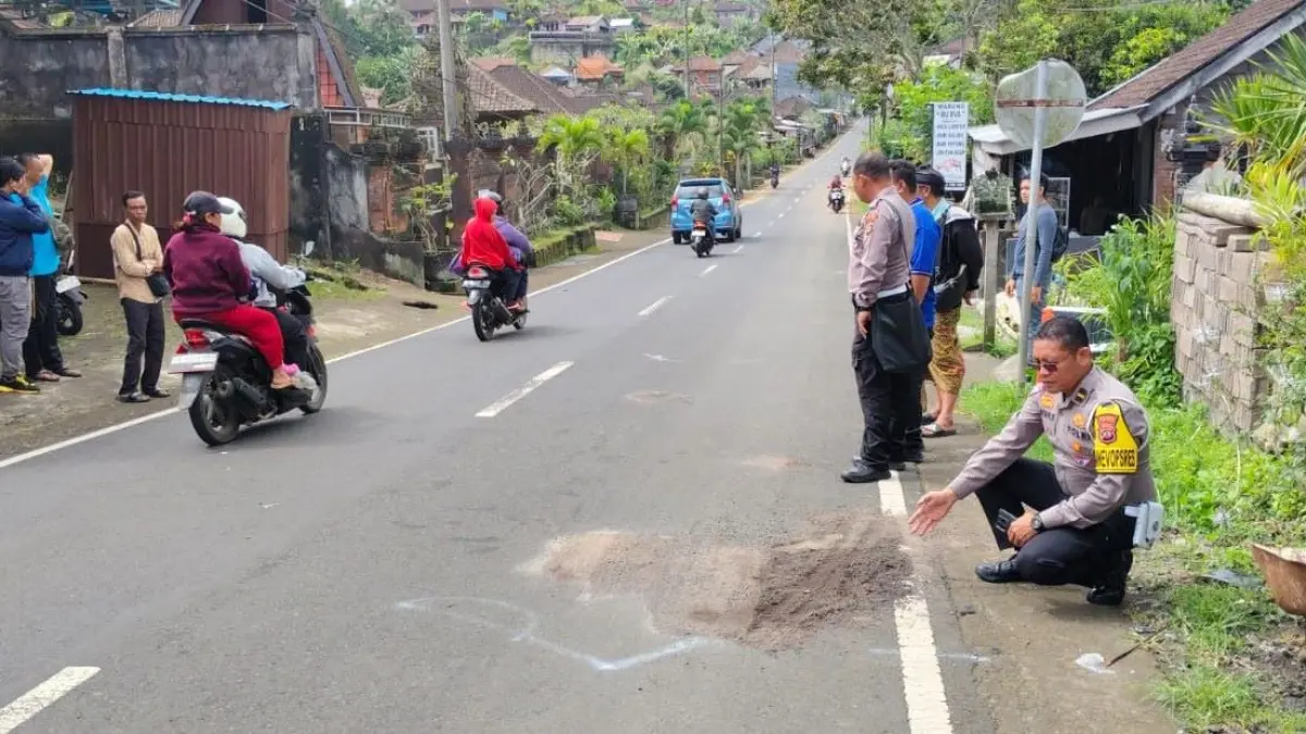 Lokasi seorang lansia tewas terseret dump truk di Desa Bantiran, Kecamatan Pupuan, Kabupaten Tabanan, Senin (23/3/2026). (Ist)